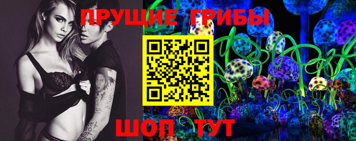 Асино  купить наркотик  Вход с VPN  Галлюциногенные грибы прущие грибы 